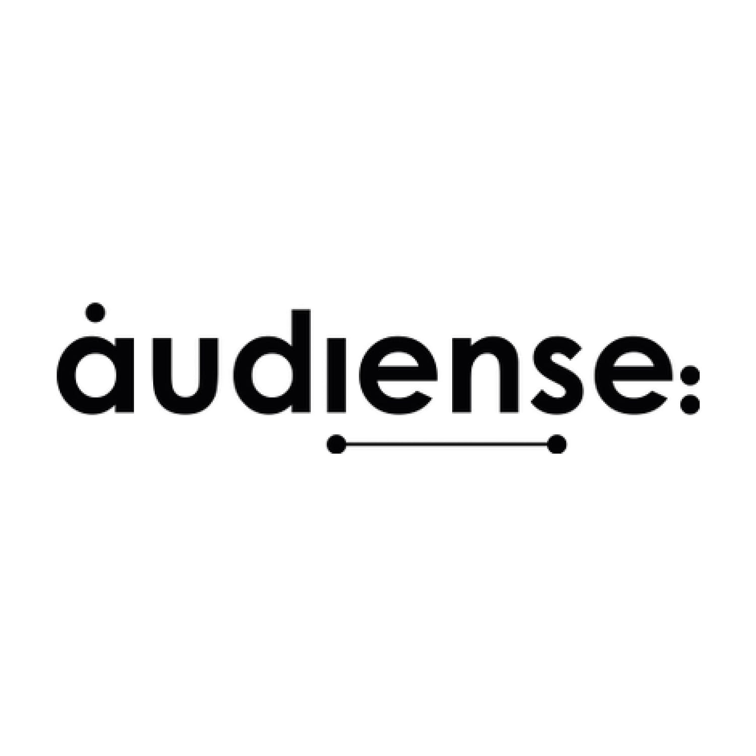 Partner_AUDIENSE_Sibilare